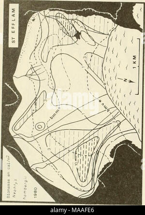 . Étude écologique de la marée noire de l'Amoco Cadiz : rapport de la NOAA-CNEXO Commission mixte scientifique . CO Banque D'Images