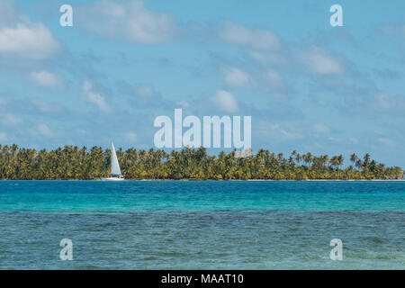 Bateau à voile sur l'océan, près de la plage de l'île avec des palmiers - Banque D'Images