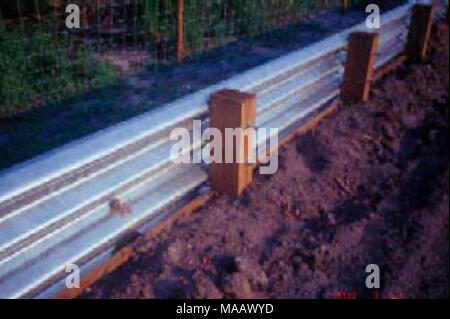 . Effets potentiels de mortalité routière et la fragmentation de l'habitat sur une population de tortues peintes dans le Montana . Figure A-10. Une clôture de type Paynes (Prairie, Floride) Photo : Barichivich et Dodd, 2002. A-10 Banque D'Images