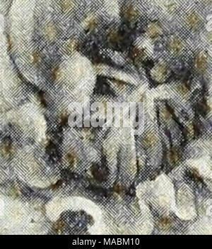 . Dreer's Liste des prix de gros . Banque D'Images