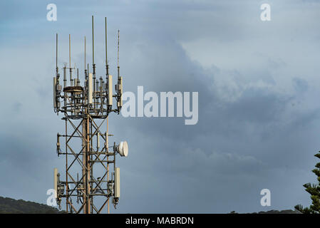 Un téléphone cellulaire ou mobile phone tower dans le pays , l'Australie avec une plate-forme construite spécialement pour une famille d'oiseaux locaux Osprey nest Banque D'Images