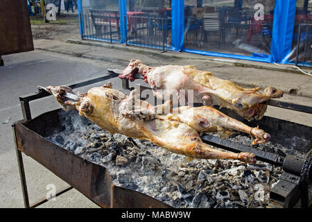 Rôti de mouton en Serbie sur une pointe de manière traditionnelle. Banque D'Images