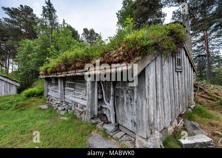 Le Romsdal Museum est un musée dans le district de Romsdal comté de Møre og Romsdal (Norvège). Banque D'Images