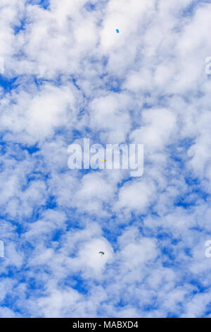 Le parachutiste descend et les trains d'atterrissage en parachute de précision que voler sur ciel bleu Banque D'Images