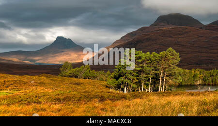 Stac Pollaidh dans la lumière d'automne Banque D'Images