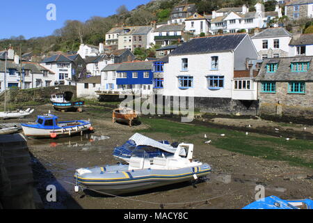 Cornwall, Angleterre, Polperro : un fatras de chalets et de bateaux de pêche à l'abri des ravages du temps et marée dans sa falaise ravine, UK, PETER GRANT Banque D'Images