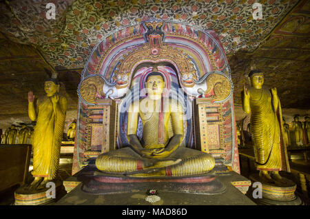 Les statues de Bouddha à l'intérieur de Dambulla Cave Temple, Dambulla, Sri Lanka, en Asie. Banque D'Images