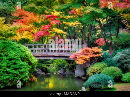 Les jardins japonais de Portland avec pont et couleurs d'automne. Oregon Banque D'Images