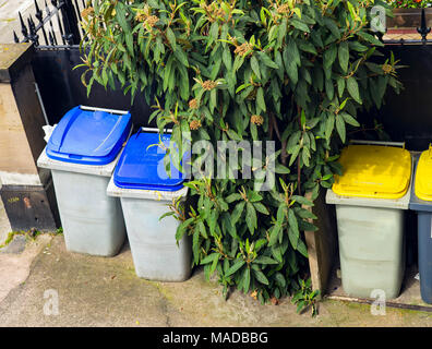 Bacs à poussière urbaine, ménage refuse, Strasbourg, Alsace, France, Europe, Banque D'Images