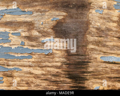 La texture de la planche en bois naturel avec peinture gris fissuré, spot de renverser de l'eau, fond abstrait. Banque D'Images