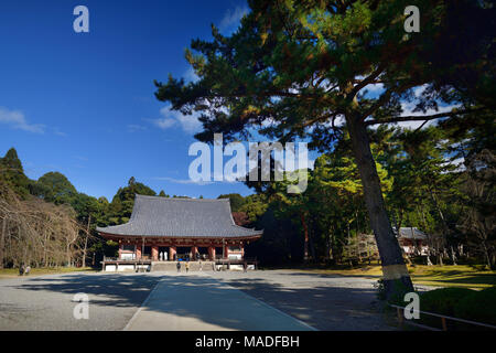 Vieux pin en face de Kondo hall de Shimo-Daigo Daigoji complexe de temple Fushimi en-ku, Kyoto, Japon 2017 Banque D'Images