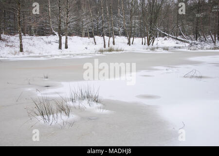 Une scène de neige dans la nouvelle forêt à Mogshade Hill. Banque D'Images