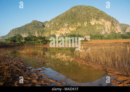 Panorama des mogotes et étang dans la vallée de Vinales (Cuba) Banque D'Images