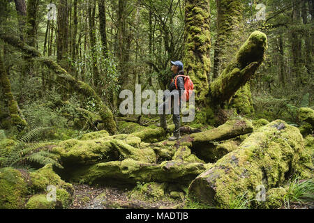 Profiter de la forêt à pied, lac Gunn Fjordland, Nouvelle-Zélande Banque D'Images