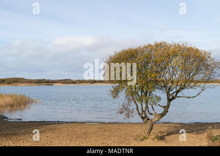 Piscine Kenfig, réserve naturelle nationale de Kenfig, tonne Kenfig, Bridgend, South Wales, UK Banque D'Images