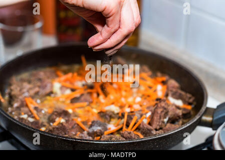 Ajoute la main de sel à ragoût de boeuf fermer Banque D'Images