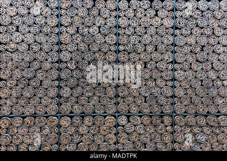 Mur à carreaux en musée de l'examen impérial chinois, Nanjing, Jiangsu Province, China Banque D'Images