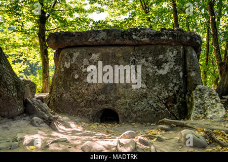 Dolmen du Caucase en forêt Banque D'Images