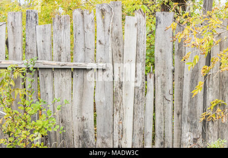 Close up de vieux panneaux de clôture en bois gris Banque D'Images