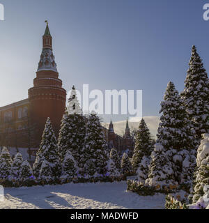 Moscou, Russie, le 01 février 2018 : l'gaiement décorées d'arbres de Noël sont couverts de neige se tenir sur le Manegnaya Square pendant les jours fériés. Voir Banque D'Images