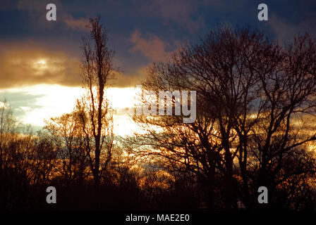 Londres, Royaume-Uni, 31 mars 2018, Commune de Wandsworth coucher du soleil le week-end de Pâques. Credit : JOHNNY ARMSTEAD/Alamy Live News Banque D'Images