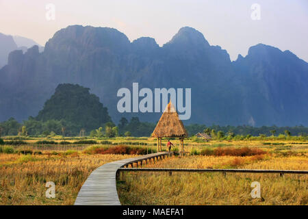 Récolte de riz domaine entouré par des formations rocheuses à Vang Vieng, Laos. Vang Vieng est une destination populaire pour le tourisme d'aventure dans un karst calcaire Banque D'Images