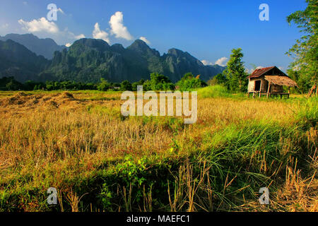 La cabane d'agriculteur sur un champ à Vang Vieng, Laos. Vang Vieng est une destination populaire pour le tourisme d'aventure dans un paysage karstique calcaire. Banque D'Images