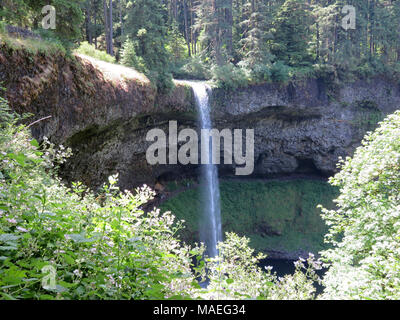 Silver Falls SP en OU Banque D'Images