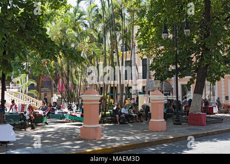 L'Hidalgo Park dans le centre historique de Merida, Yucatan, Mexique Banque D'Images