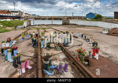 Jardin d'amorçage, Wellie St Monans, port de Neuk Fife, Fifeshire, Ecosse, Royaume-Uni Banque D'Images