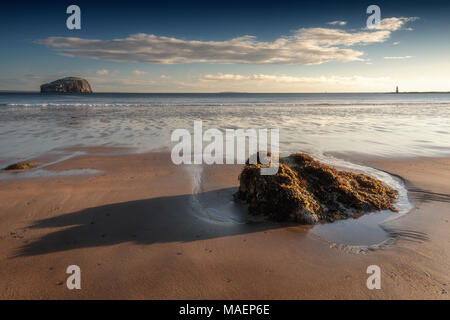 Bass Rock et St Baldred's Cross de Gerpinnes près de North Berwick sur la Côte d'East Lothian, Ecosse Banque D'Images