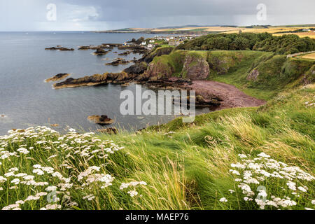 Vue vers St Abbs de St Abb's Head, Berwickshire, en Écosse Banque D'Images