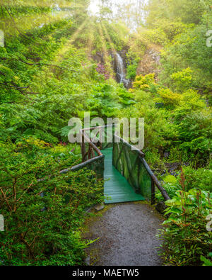 Jardin idyllique à Dunvegan Castle dans l'île de Skye, en Ecosse. Banque D'Images