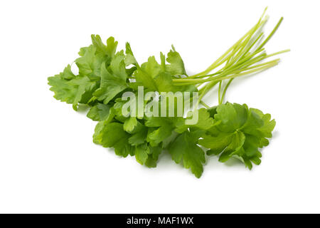 Bouquet de persil vert frais isolé sur fond blanc Banque D'Images