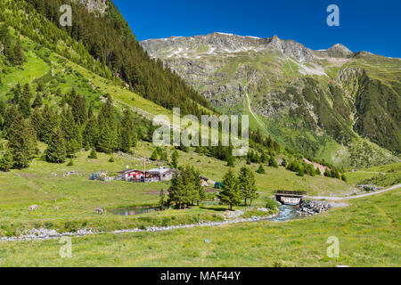 Vue sur la menta Alm dans la vallée de l'Grieskogel Jamtal avec sa protection avalanche près de Galtur, Autriche. Banque D'Images