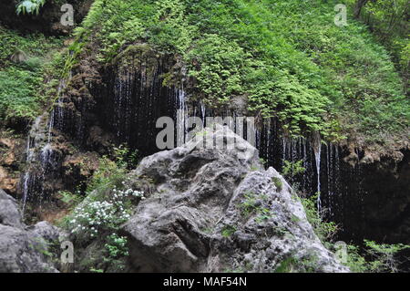 Des gouttes d'eau des roches couvertes de mousse de Montagne Yuntai, Chine Banque D'Images