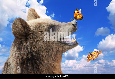 Cheerful brown bear (Ursus arctos) avec le monarque assis sur son nez. Sur fond de ciel bleu Banque D'Images