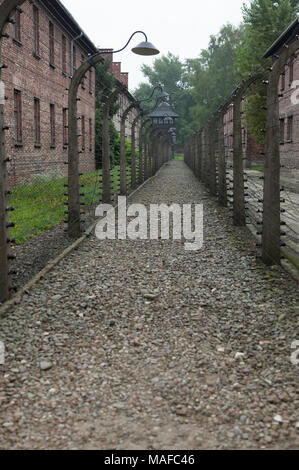 Camp de concentration Ausschwitz Banque D'Images