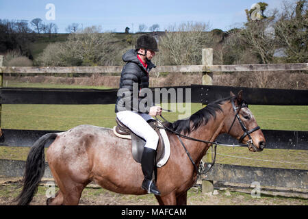 Beau mâle Horse Rider à cheval avec un casque, un pantalon blanc, des bottes noires et rouges sur fond de ciel bleu polo en paddock Banque D'Images