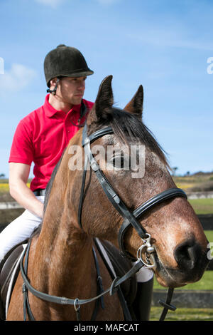 Beau mâle Horse Rider à cheval avec un casque, un pantalon blanc, des bottes noires et rouges sur fond de ciel bleu polo en paddock Banque D'Images