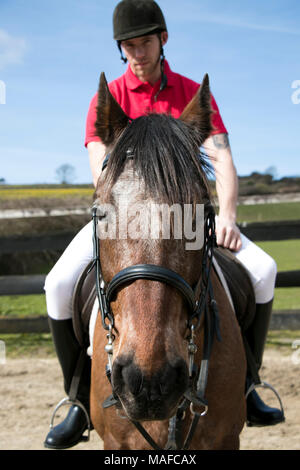 Beau mâle Horse Rider à cheval avec un casque, un pantalon blanc, des bottes noires et rouges sur fond de ciel bleu polo en paddock Banque D'Images