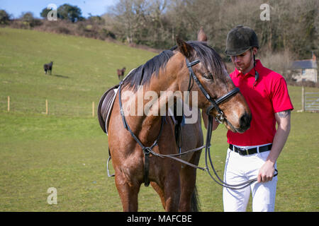 Beau mâle Horse Rider à cheval avec culotte blanche, des bottes noires et rouges polo en champ vert avec les chevaux en arrière-plan. Banque D'Images