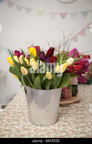 Tulipe rose dans un seau en métal dans le contexte d'un mur blanc Banque D'Images