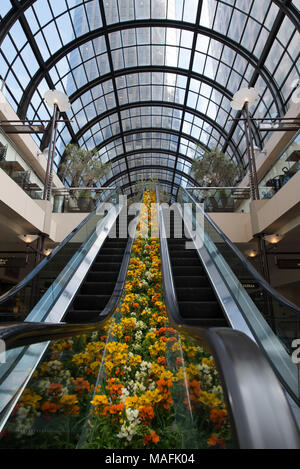 Escalator dans un centre commercial, North Beach, San Francisco, California, USA Banque D'Images
