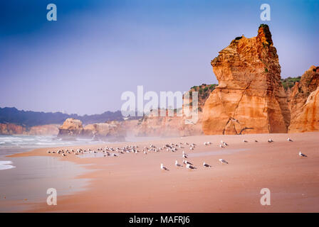 Algarve, Portugal - Praia da Rocha, amazing lever du soleil sur l'océan Atlantique, 2124. Banque D'Images