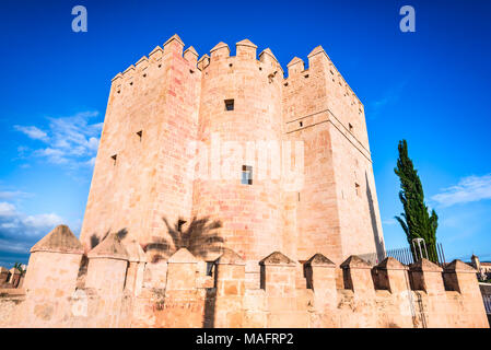 Cordoue, Espagne, Andalousie. La tour médiévale Callahora et le Guadalquivir. Banque D'Images