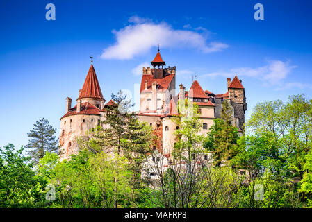 Château de Dracula, Bran, Roumanie. Image printemps superbe de Vlad l'Empaleur citadelle de Brasov, en Transylvanie, l'Europe de l'Est. Banque D'Images