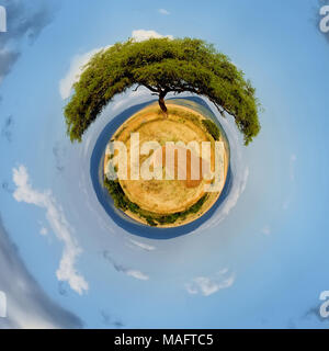 360 degrés sur beau paysage avec un arbre en Afrique Banque D'Images
