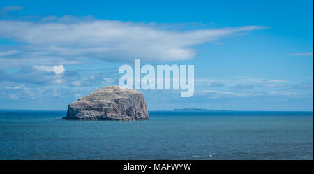 Bass Rock, vue depuis le Château de Tantallon. Banque D'Images