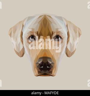 Labrador Retriever low poly design. Illustration vecteur de triangle. Illustration de Vecteur